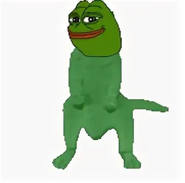 dancing pepe cat Pepe the Frog Know Your Meme