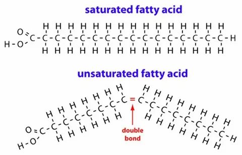 The Truth About Saturated Fat - Pinoria