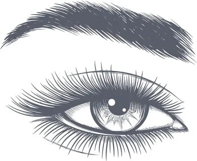 eyelash vector png - Clip Transparent - Eyes And Eyebrows Cl