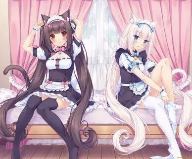 Обои Аниме Nekopara, обои для рабочего стола, фотографии ани