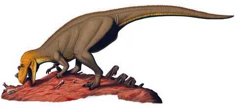 Ceratosaurus - Dinosaur National Monument (U.S. National Par