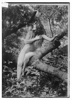 Hollywood Nudes Barbara Strisand - Free porn categories watc