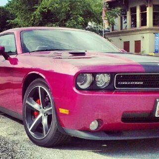 I have just died and gone to heaven. Pink challenger? The ca