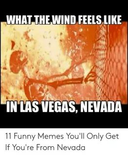 WHAT THEWIND FEELS LIKE IN LAS VEGAS NEVADA 11 Funny Memes Y