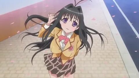 Watch Kanokon Specials Episode 1 Subbed Dubbed Animegg