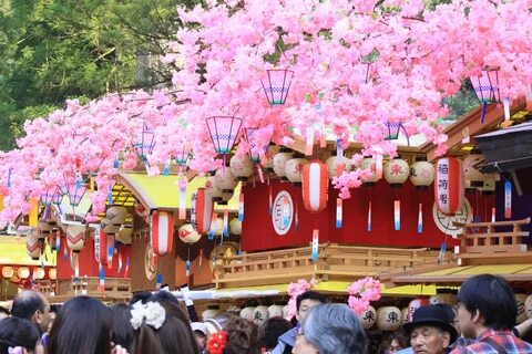 Фестиваль цветов Хана Мацури в Японии. Первый поездатый Янде
