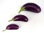 File:3 x Small Japanese eggplant 2017 A.jpg - Wikipedia