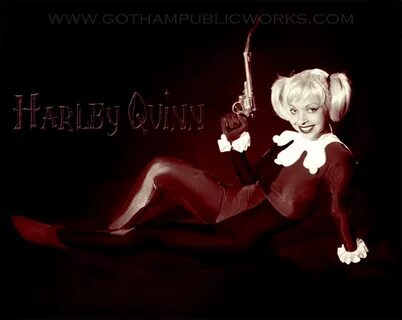 Harley Quinn Babes - Gallery eBaum's World