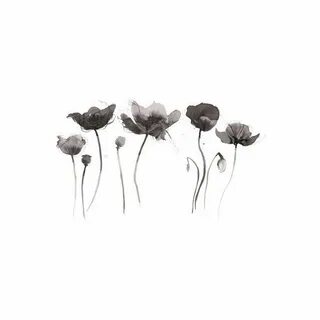 Toril Bækmark Black Poppy Tattoo White flower tattoos, Black