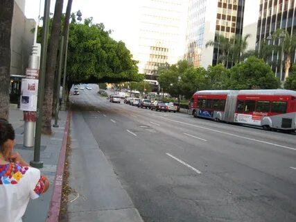 File:Pruned tree Wilshire Boulevard Los Angeles 2008-06.jpg 