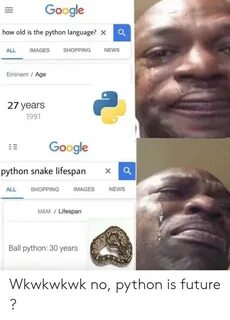 🐣 25+ Best Memes About Python Language Python Language Memes