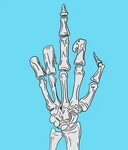 229 Skeleton Middle Finger Stock Photos and Images - 123RF