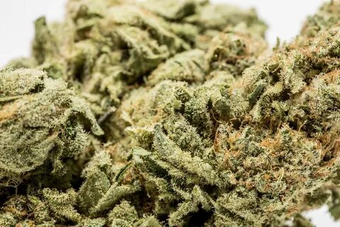 Super Sour Skunk Cannabis Strain Information - Straindex