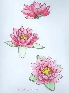 water lily tattoos - Google Search Tattoo Ideas Pinterest Wa