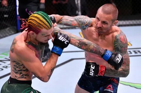 UFC 250 Results: Sean O’Malley Destroys Eddie Wineland With 