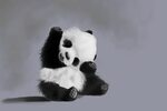 Black And White Panda Wallpapers - Wallpaper Cave