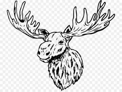 Deer Line Art png download - 800*673 - Free Transparent Deer