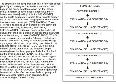 017 Essay Example Sample Informative Essays Argumentative Model Cover Transition