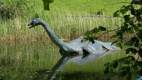 Naukowcy na tropie potwora z Loch Ness? Zbadano próbki DNA -