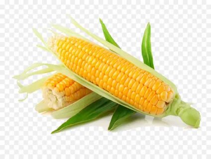кукуруза в початках, кремнистой кукурузы, сладкая кукуруза