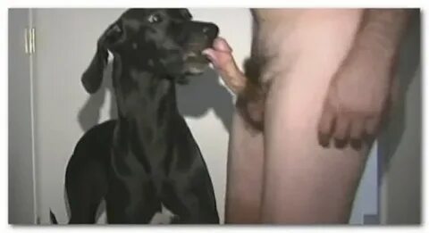 Guy Fucking Female Dog Sex Pictures Pass