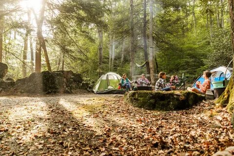 camping_wvsp - West Virginia State Parks - West Virginia Sta