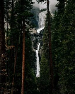 Mobile wallpaper: Nature, Water, Trees, Waterfall, Break, Pr