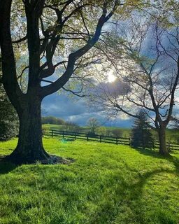 Mary Chapin Carpenter (@marychapincarpenter) — Instagram