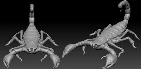 Iliyana Boteva - Scorpion 3D Model for VFX Project