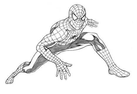 Человек паук - рисунки карандашом для срисовки - Рисунки для