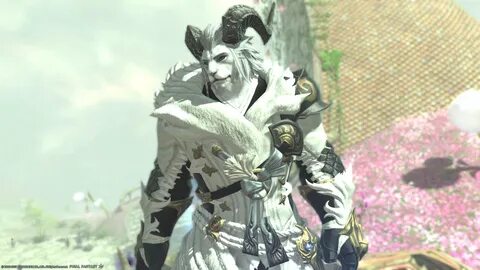 FINAL FANTASY XIV: Shadowbringers - Remember that we once po