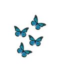 Butterfly Tumblr Simple Blue Aesthetic Wallpaper - img-wimg