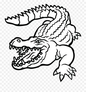 29 Alligator Clipart Angry Alligator Free Clip Art Stock - C