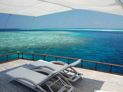 Maldives things to do: $3 ferry, Tropic Tree Hotel escape.co