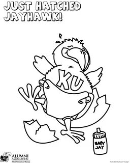 ku jayhawks coloring page - Clip Art Library