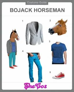 The Top Cosplay Ideas for Bojack Horseman Costume SheCos Blo