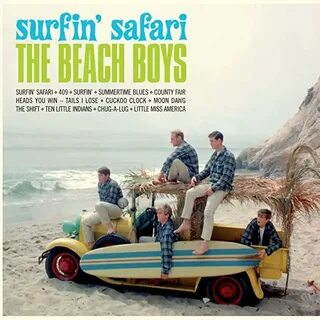 Amazon.com: beach boys vinyl