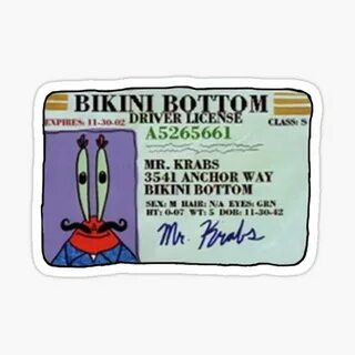 "Mr Krabs Driver's License" Sticker for Sale by akachayy Red