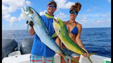 TUNA & DOLPHIN Fishing in Grand Cayman Pt 1 - YouTube