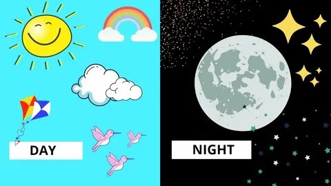 Day and Night Concept Video for Kids Things We See in Day an
