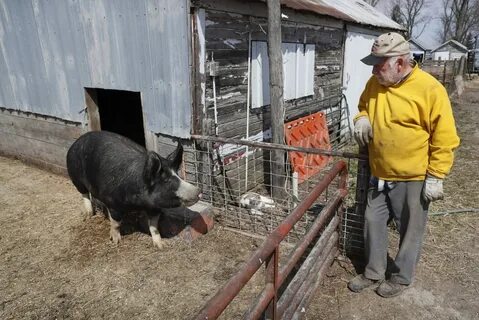 Tyson Foods Warns of Shortages as Meat Plants Shutter