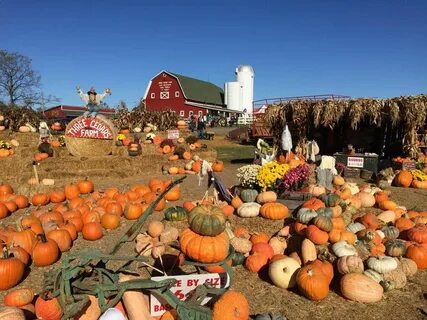 We Found the Best Pumpkin Farms to Visit This Fall Pumpkin p