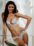 Manjari Phadnis Bollywood bikini, Bollywood actress, Bollywo