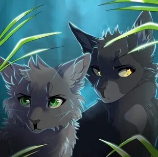 Who are these two? (Twigbranch and Violetshine maybe?) Warri