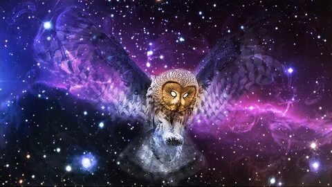 Purple Owl Wallpapers - Wallpaper Cave