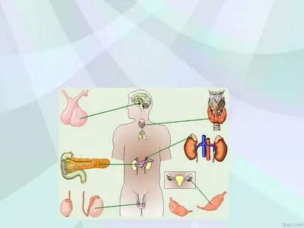 Презентация на тему: Биохимия гормонов. Патология эндокринно