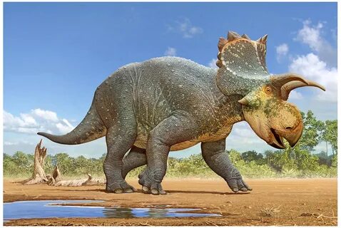 New horned dinosaur species discovered in Arizona wows paleo