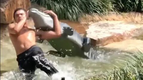 Florida teenager arrested for RKO on mall alligator (video) 