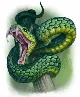 Pin by Chalie F on Rắn Snake drawing, Snake tattoo design, S