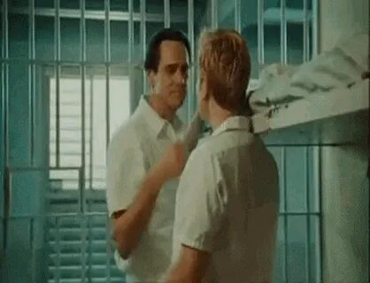 I Love You Phillip Morris Quotes GIFs Tenor